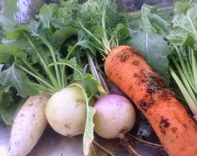 ��_��؂̉�